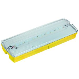 LED Emergency Bulkhead 110V