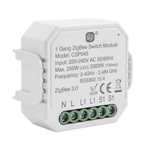 10A 1 Gang Smart Switching Receiver