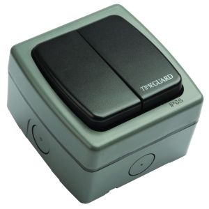 2 Gang 2 Way Switch (SP)