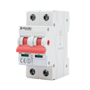 2 Pole 100A Mains Isolator Switch