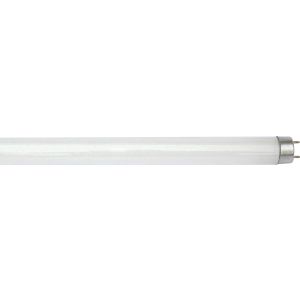  36W T8 4000K, 1200mm, 20,000 hrs, 3350 lumens