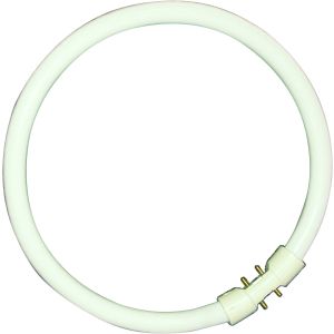 T5 Circular Fluorescent Tube - 55W T5 2GX13, 4000K, 16,000 hrs