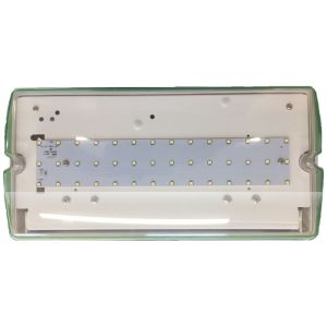 High output IP65 3 hour maint EM bulkhead