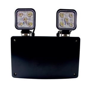 High output IP65 3 hour maint/non-maint EM twinspot